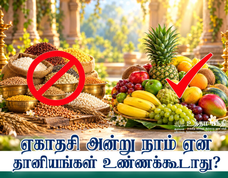 Why-not-grains